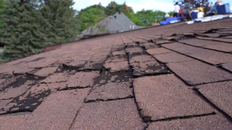 Trusted Notre Dame, IN Roofing Experts
