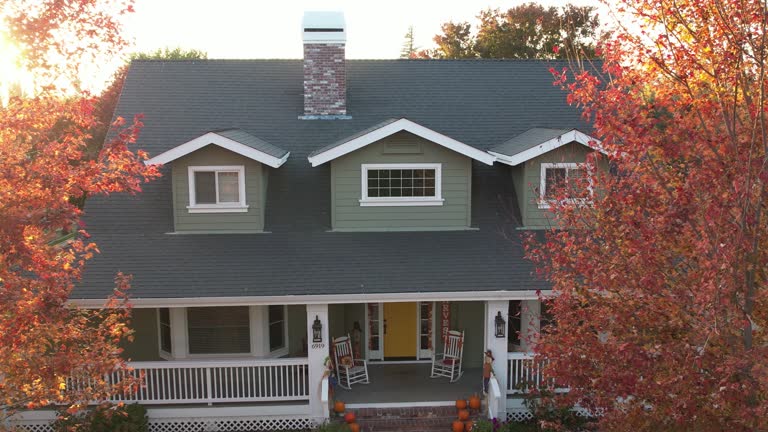 Best Chimney Flashing Repair  in Notre Dame, IN